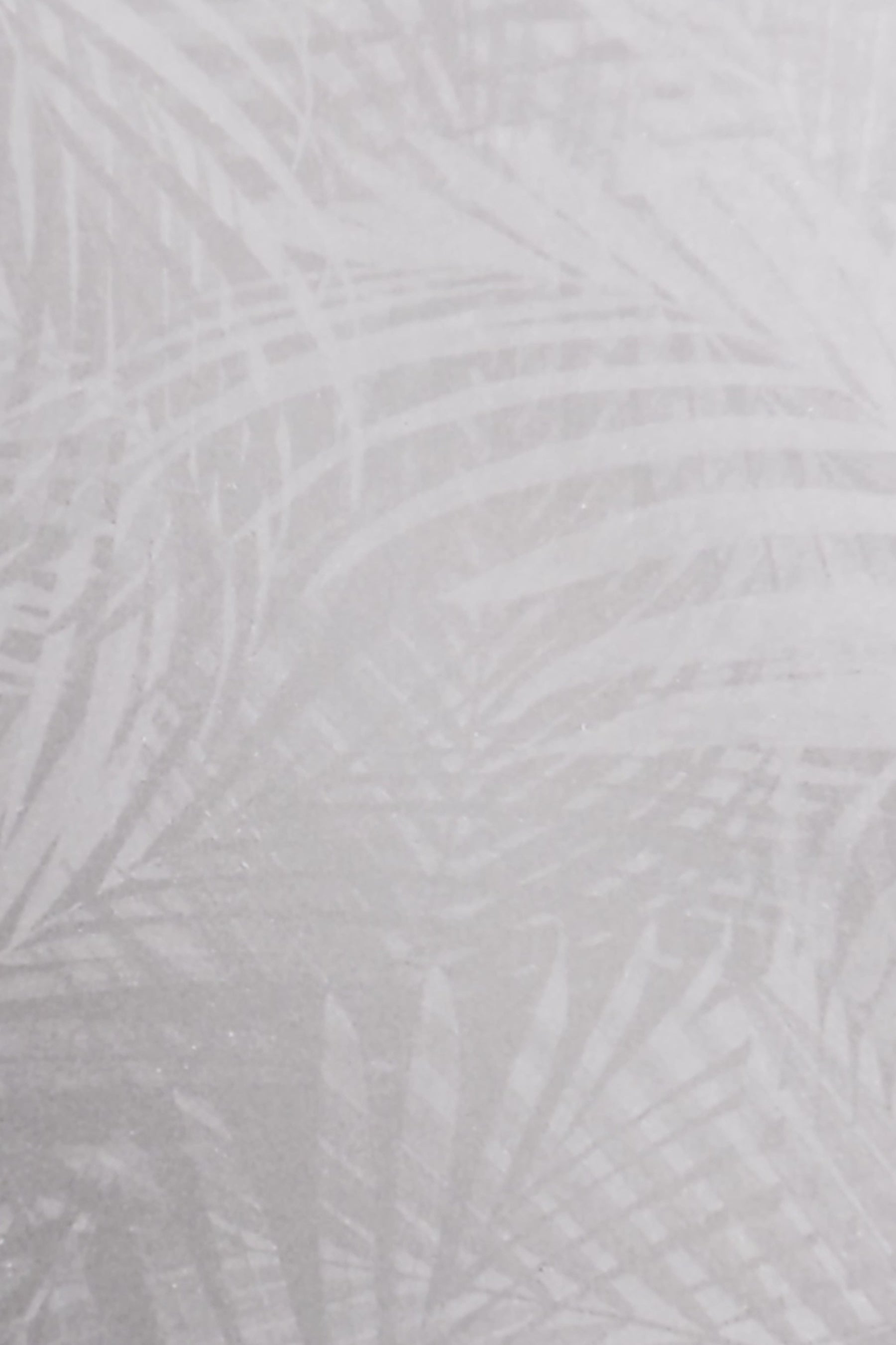 Palm | Window Film with Etched Frosted Glass Pattern | Made in USA