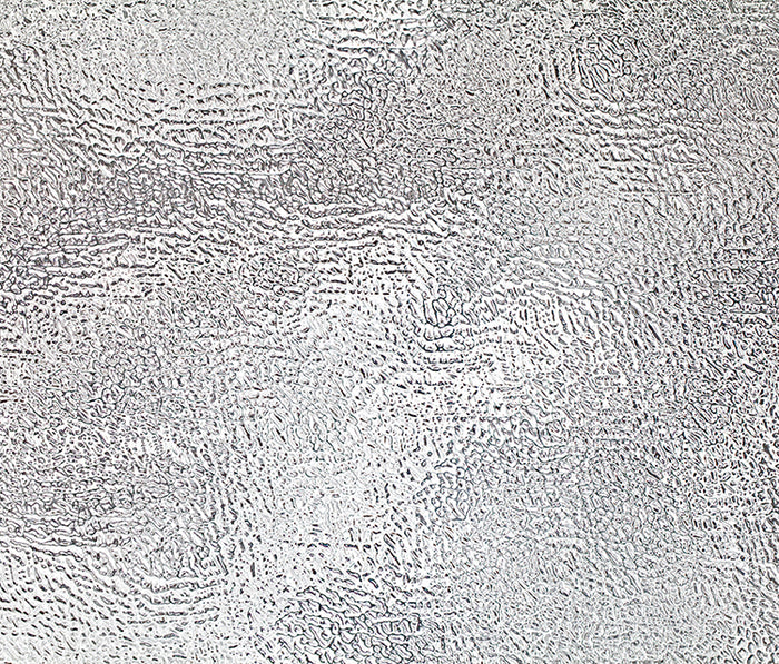 Texture Twelve